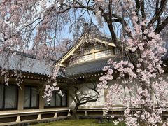 -醍醐寺