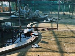 -羊亭河湿地公园