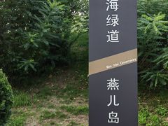 -燕儿岛山公园