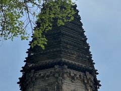 -高尔山公园