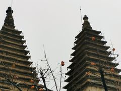 -北京石刻艺术博物馆(五塔寺)