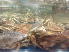 -盒马鲜生(莱蒙都会店)