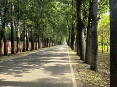-东郊湿地公园