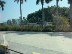 -悦城龙母祖庙