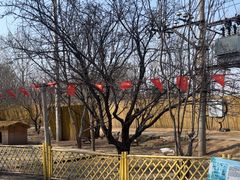 -1982农场