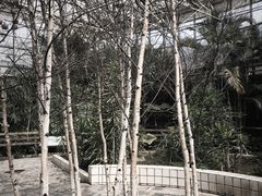 -石家庄市植物园
