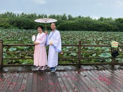 -大湾区中央湿地公园