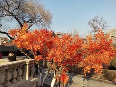 -张学良旧居陈列馆