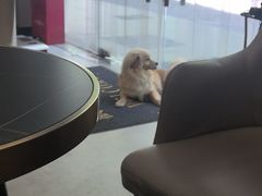 -琪航健身工作室(杨高南路地铁站店)