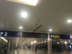 -上海浦东国际机场-T2航站楼