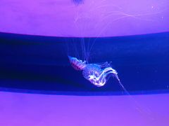 -沈阳海洋探索中心