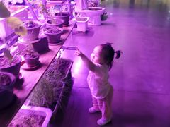 -现代汽车文化中心 Hyundai Motorstudio Beijing