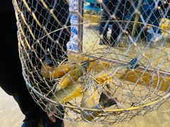 -钳真多钓虾馆·小龙虾海鲜烧烤(九六广场店)