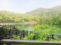 -白马涧龙池景区