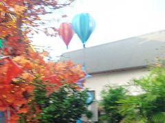 -后湖小院·乡野田园菜