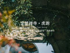 -虎跑公园