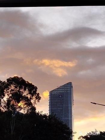 2020年第一跑去年来公园还没有修建好呢，不亏是深圳