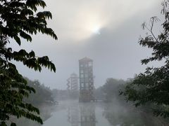 -莫里热带雨林景区