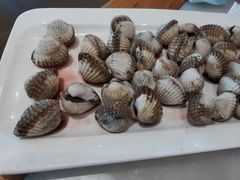 -华盛丰温州大排档(东三环南路店)