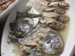 -阳光海鲜大排档