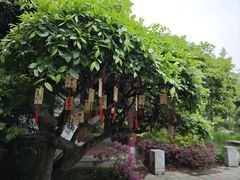 -武汉园博园(武汉自然博物馆)