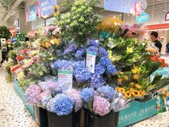 -盒马鲜生(富田新天地店)