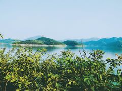 -望湖烤鱼