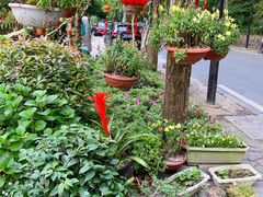 -国生茶庄·地道农家菜团建活动