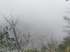 -大罗山风景区