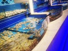 水产区-乔哥铭洋海鲜自助(皇城恒隆广场店)