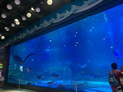 -烟台海昌鲸鲨海洋公园