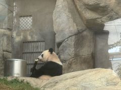 -香港海洋公园