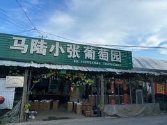 -马陆小张葡萄园农家乐