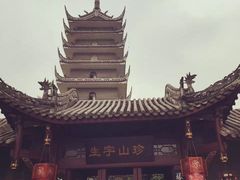 -生宇山珍野生菌汤锅•始于1999(双流古塔店)