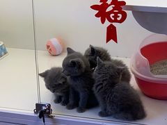 -METAL HANDS(五道营店)