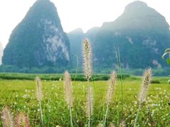 -大新明仕山庄