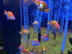 -华夏文旅西安度假区