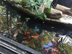 -新竹里馆·花园餐厅(兴苑路店)