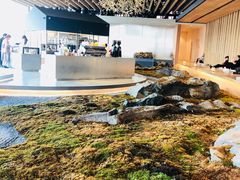 -Seesaw Coffee(朝阳大悦城店)