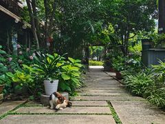 -谷咖啡·鲜花绿植花园餐厅