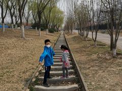 -永定河休闲森林公园