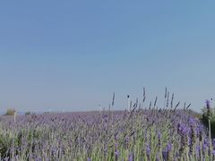 -抚仙湖禄充风景区