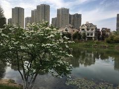 -白塘生态植物园