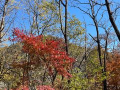 -玉渡山自然风景区