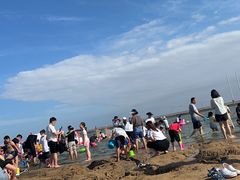 -碧海金沙