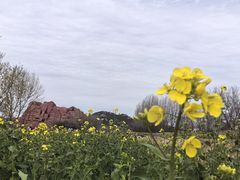 -西海岸生态观光园