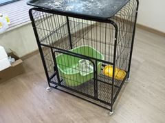 -蚂蚁搬家成都打包搬运公司
