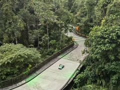 -圣淘沙天际线斜坡滑车