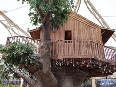 -杭州开元森泊度假乐园