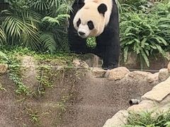 -石排湾郊野公园